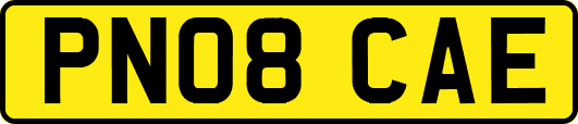 PN08CAE