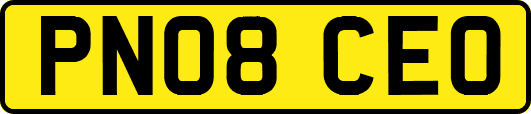 PN08CEO