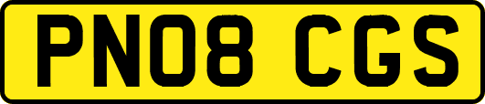 PN08CGS