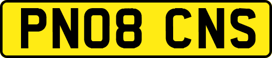 PN08CNS