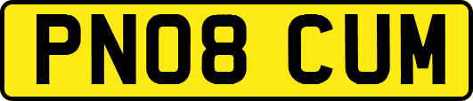 PN08CUM