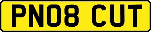 PN08CUT