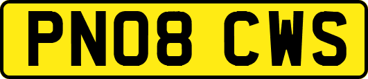 PN08CWS