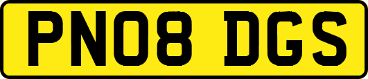 PN08DGS