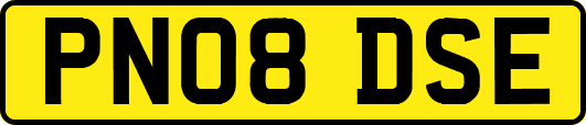 PN08DSE