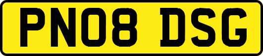 PN08DSG