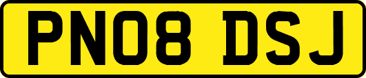 PN08DSJ