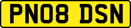 PN08DSN