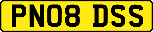 PN08DSS