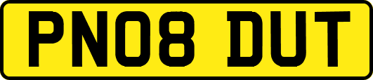 PN08DUT