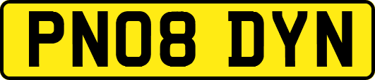 PN08DYN
