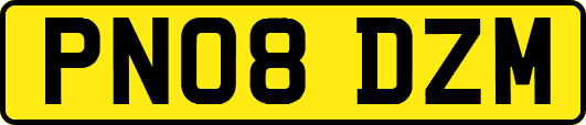 PN08DZM