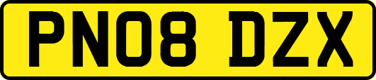 PN08DZX