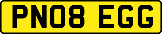 PN08EGG