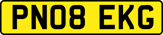 PN08EKG