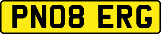 PN08ERG