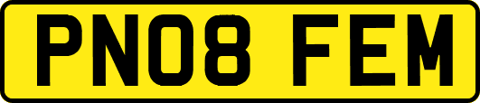 PN08FEM