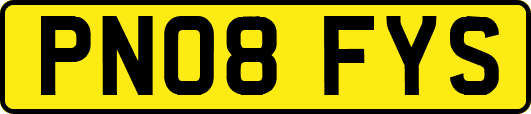 PN08FYS