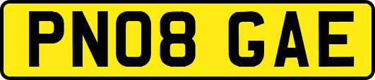 PN08GAE