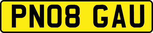 PN08GAU