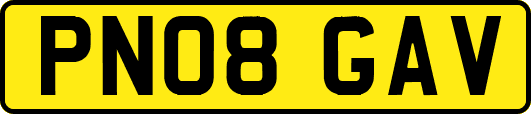 PN08GAV