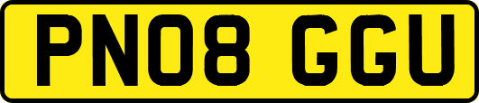 PN08GGU