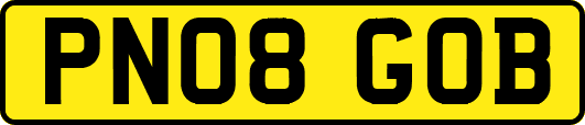 PN08GOB