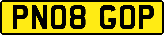 PN08GOP