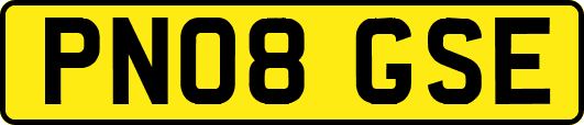 PN08GSE
