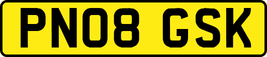 PN08GSK