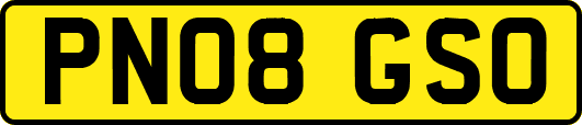 PN08GSO