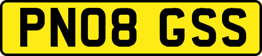 PN08GSS