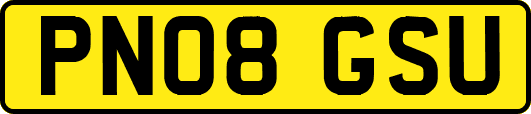PN08GSU