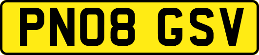PN08GSV