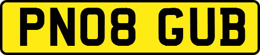 PN08GUB