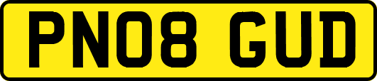 PN08GUD