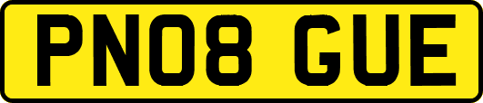 PN08GUE