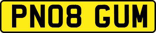 PN08GUM