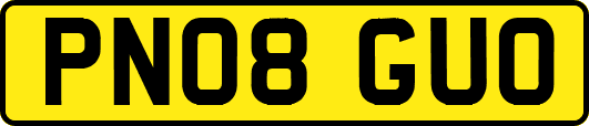 PN08GUO