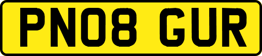 PN08GUR