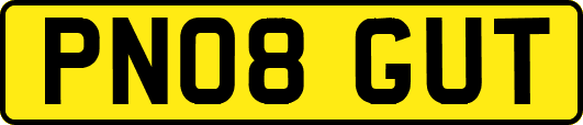 PN08GUT