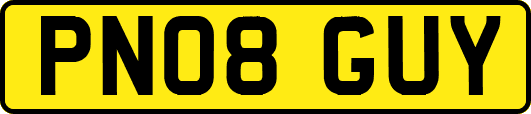 PN08GUY