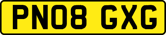 PN08GXG