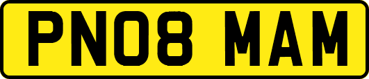 PN08MAM