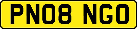 PN08NGO