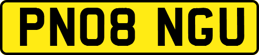 PN08NGU