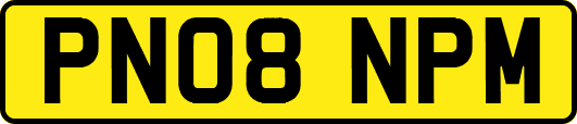 PN08NPM