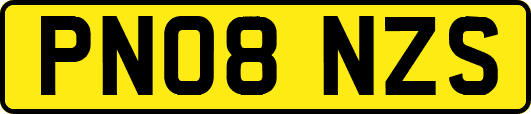 PN08NZS