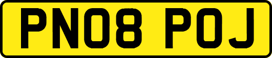 PN08POJ