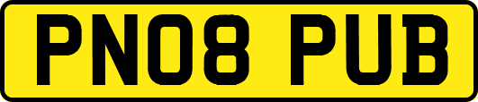 PN08PUB